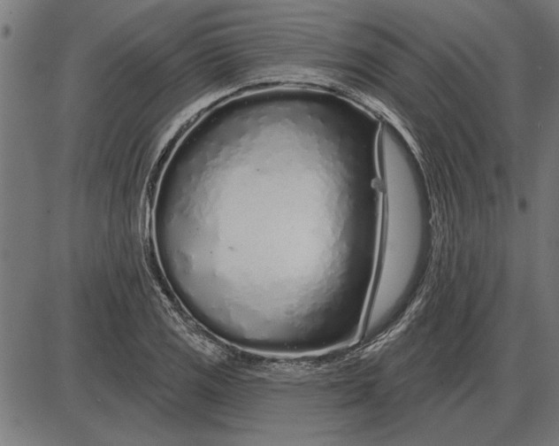 X0000086101125200704091345