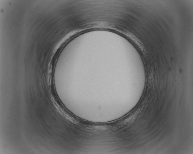 X0000086101126200704091345