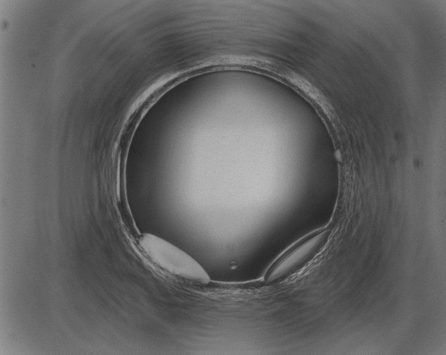 X0000086101127200704091345