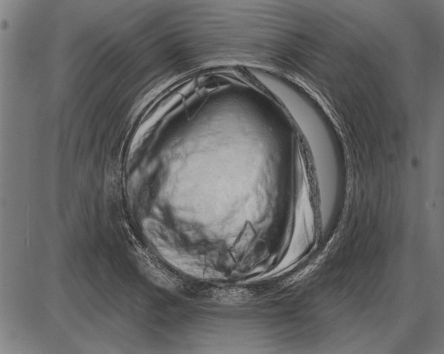 X0000086101129200704091345