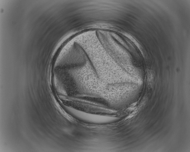 X0000086101131200704091345