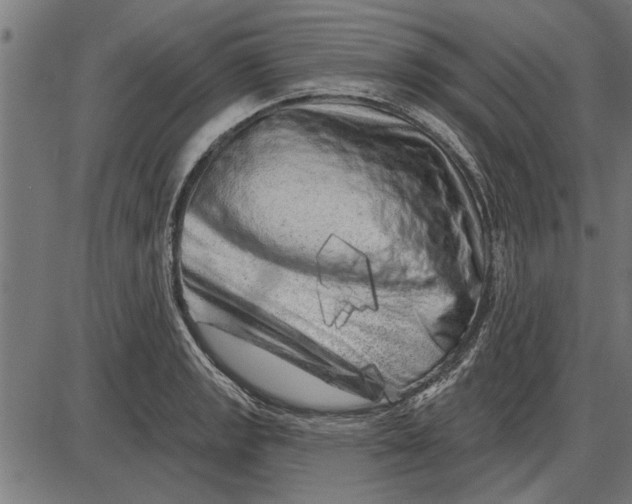 X0000086101133200704091345