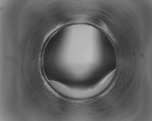 X0000086101134200704091345