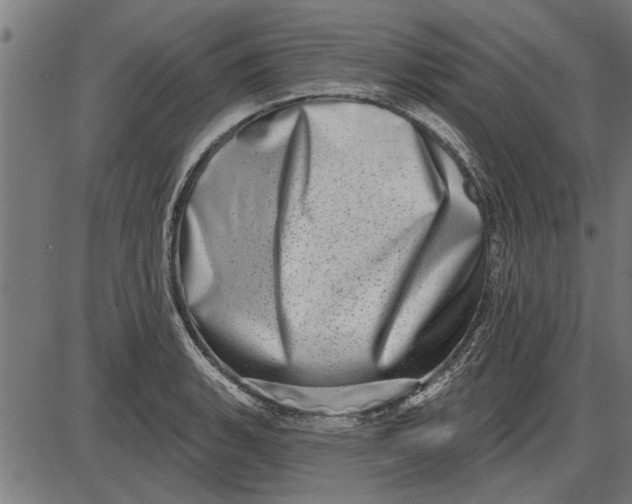 X0000086101135200704091345
