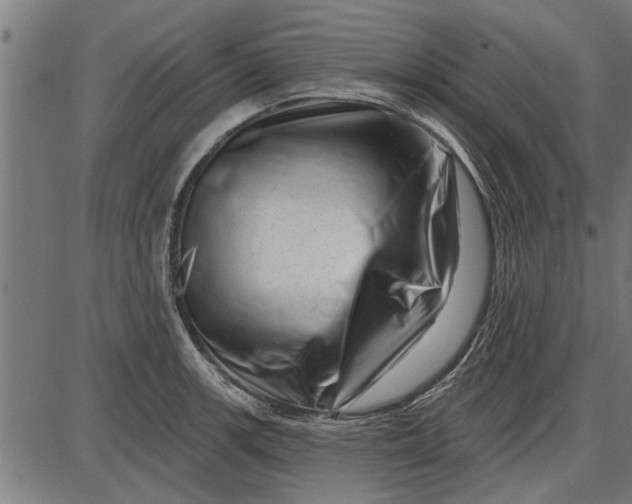 X0000086101139200704091345