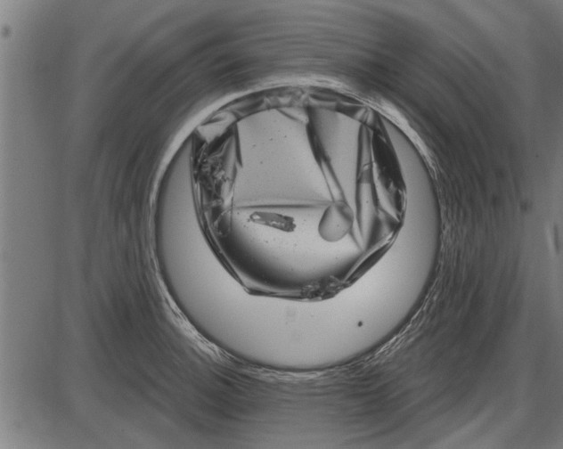 X0000086101140200704091345