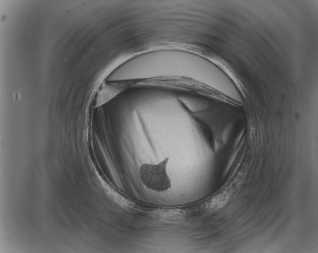 X0000086101143200704091346