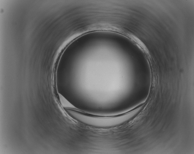 X0000086101144200704091346
