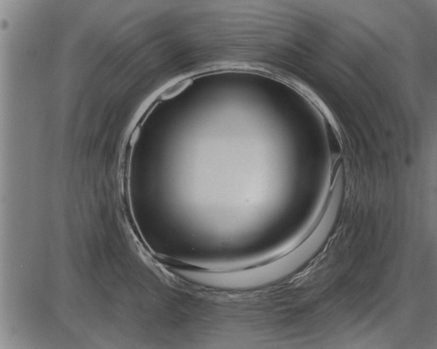 X0000086101148200704091346