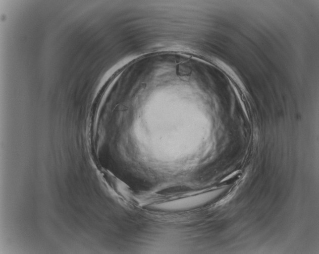 X0000086101149200704091346