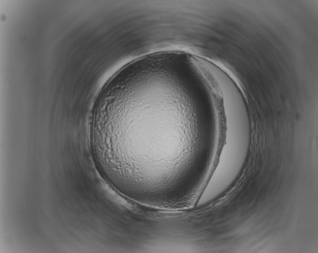 X0000086101151200704091346