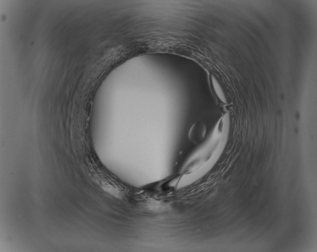 X0000086101153200704091345
