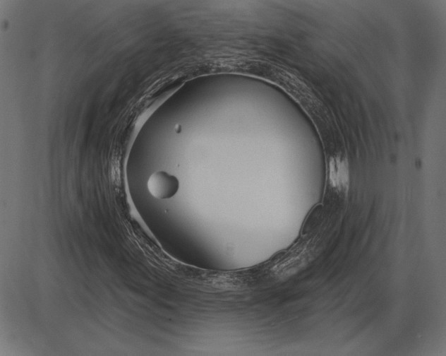 X0000086101155200704091345