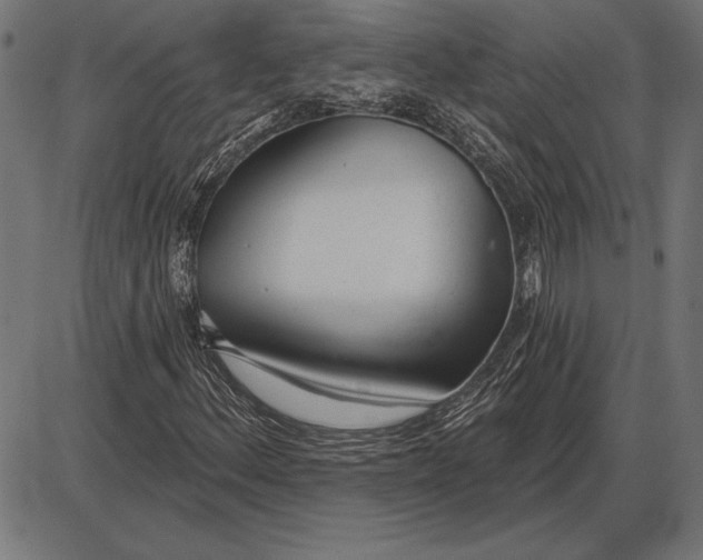 X0000086101156200704091345