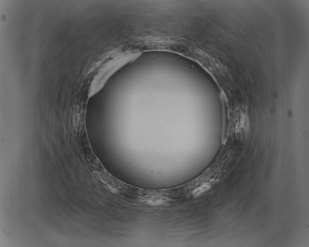 X0000086101157200704091345