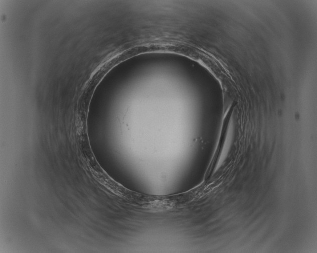 X0000086101160200704091345