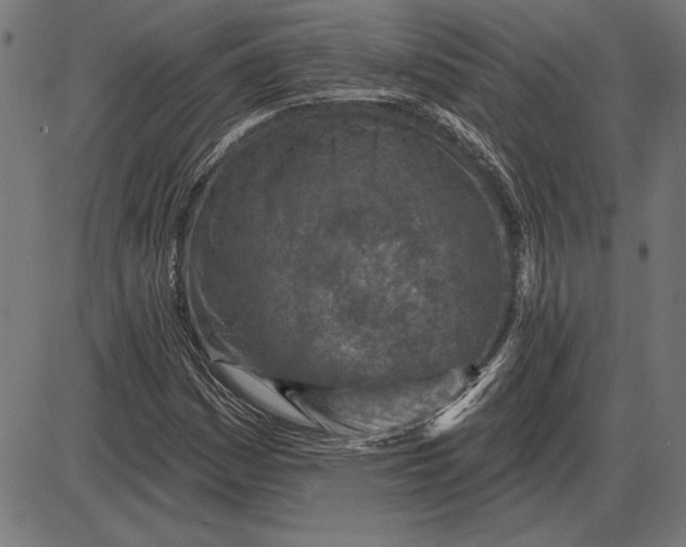X0000086101161200704091345