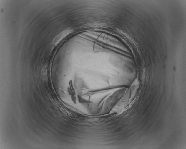 X0000086101162200704091345