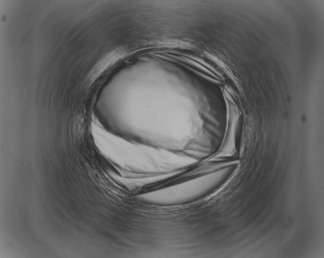X0000086101163200704091345