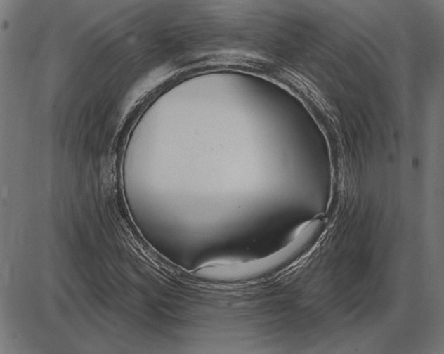 X0000086101164200704091345