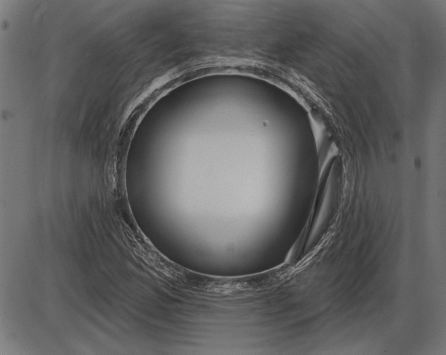 X0000086101165200704091345