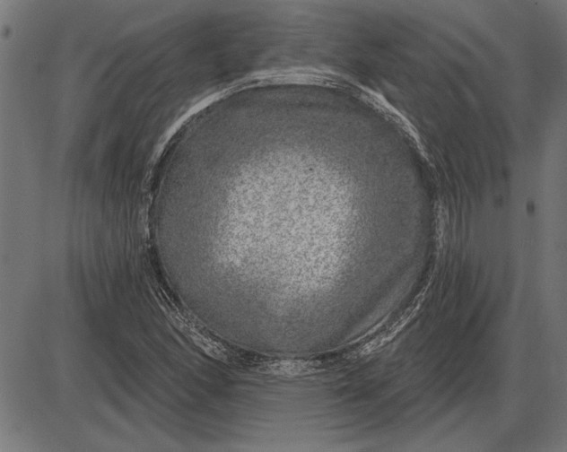 X0000086101166200704091345