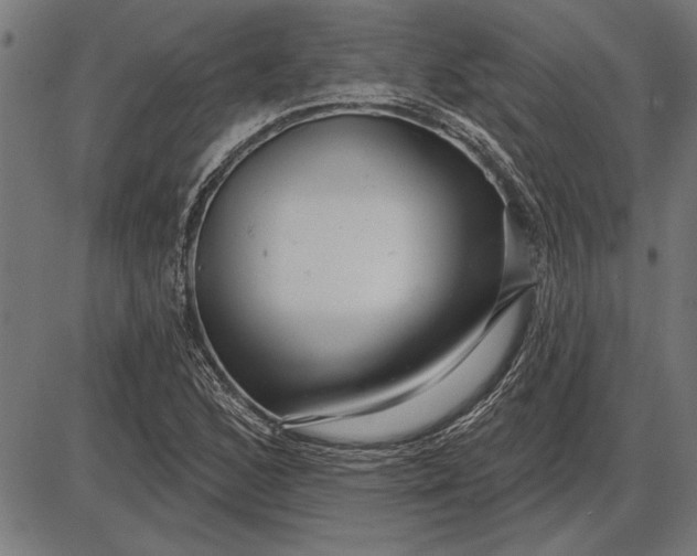 X0000086101168200704091345