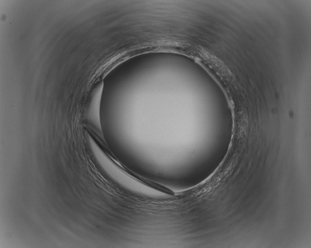 X0000086101169200704091345