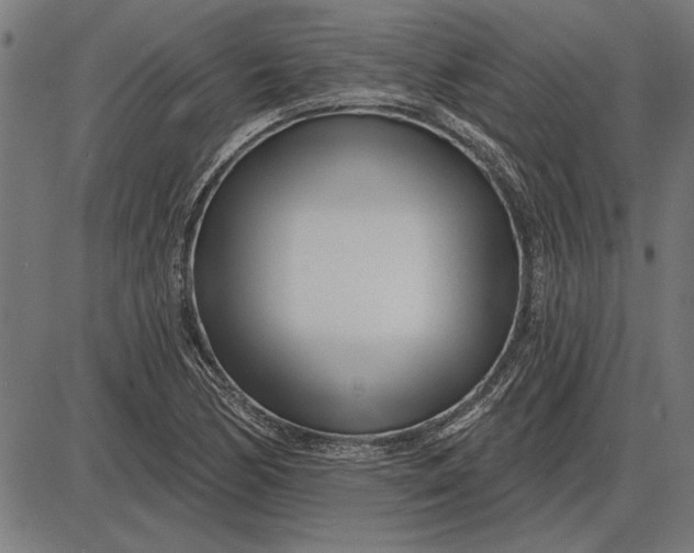 X0000086101170200704091345