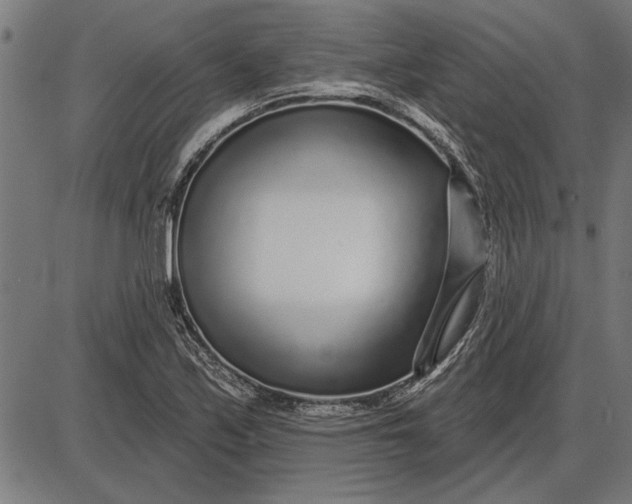 X0000086101171200704091345