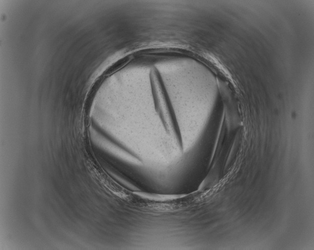 X0000086101173200704091345
