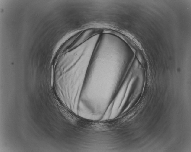 X0000086101175200704091345