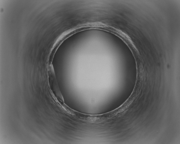 X0000086101176200704091344