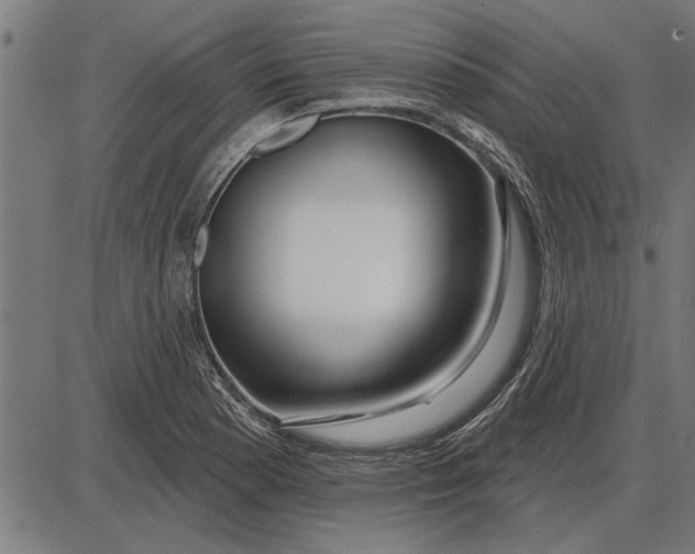 X0000086101177200704091344