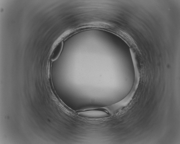 X0000086101180200704091344