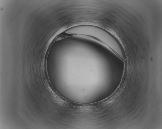 X0000086101181200704091344
