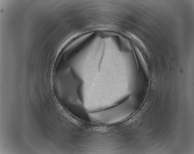 X0000086101182200704091344