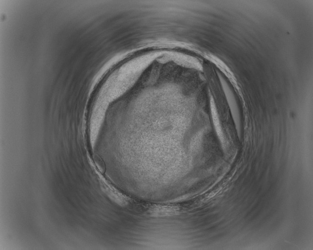 X0000086101183200704091344