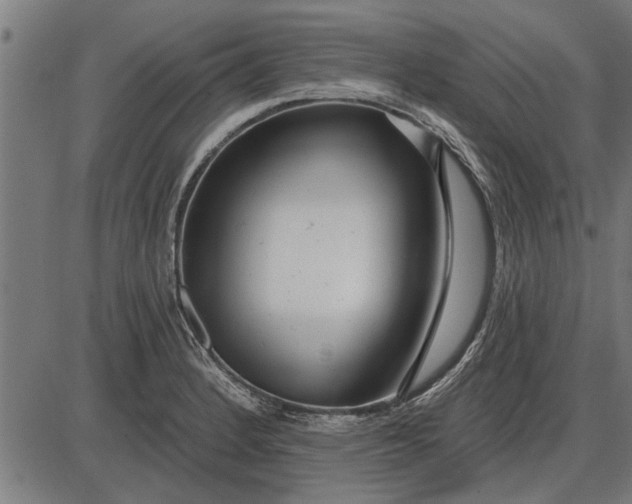 X0000086101184200704091344