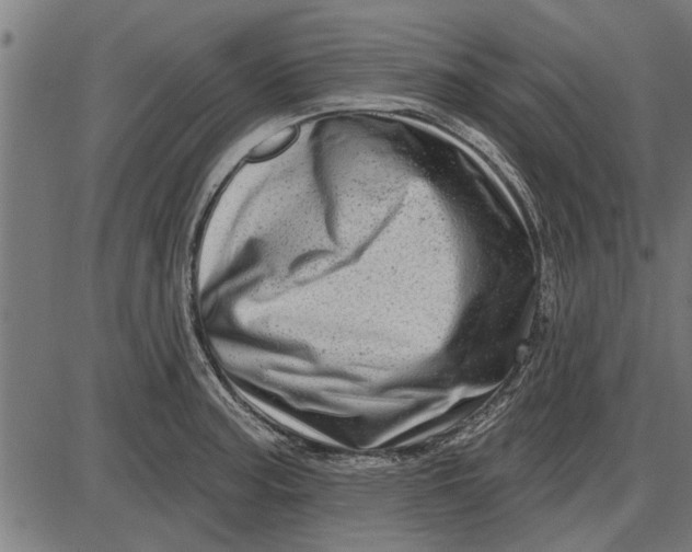 X0000086101187200704091344
