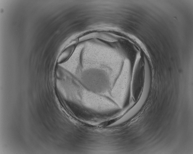 X0000086101191200704091344