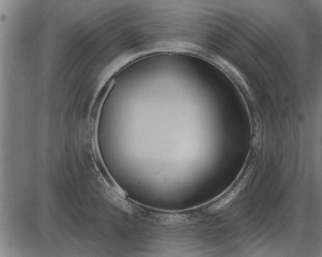 X0000086101192200704091344
