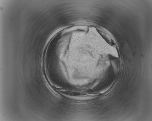 X0000086101195200704091344