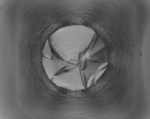 X0000086101201200704091343