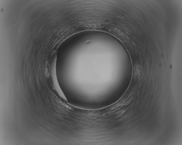 X0000086101202200704091343
