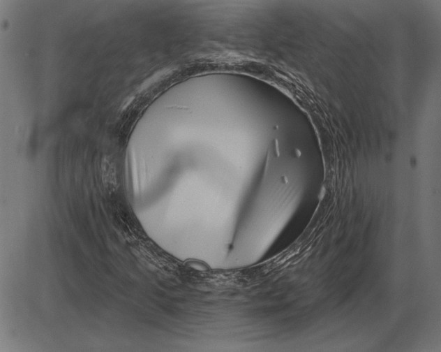X0000086101205200704091343