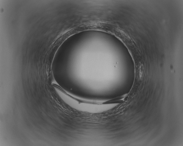 X0000086101206200704091343