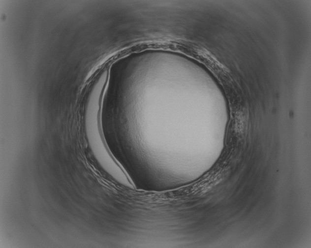 X0000086101208200704091343