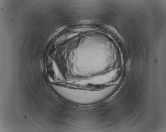 X0000086101209200704091343