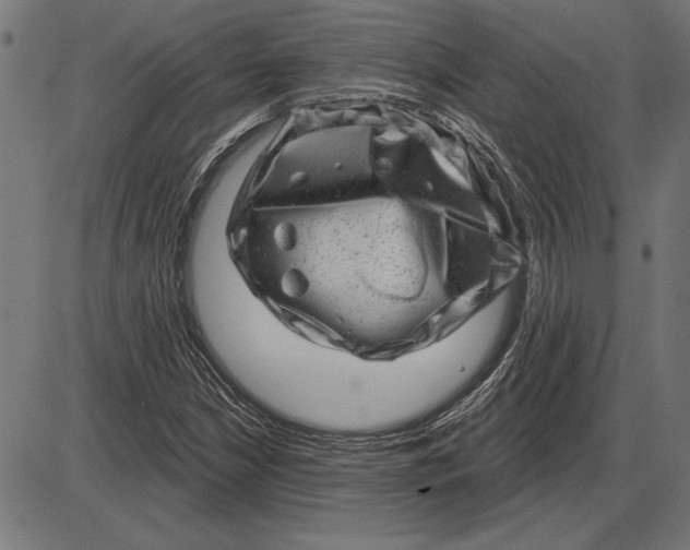 X0000086101210200704091343